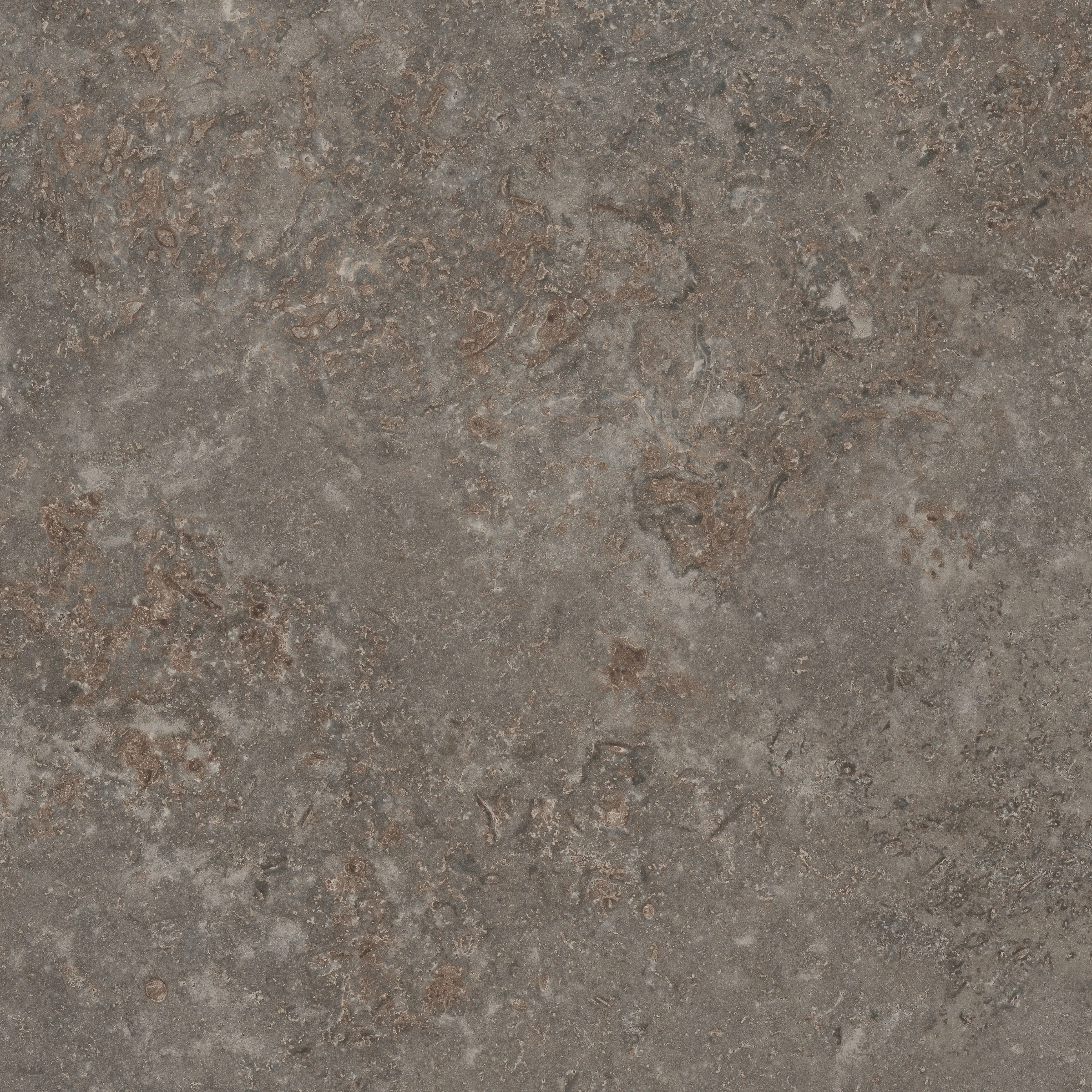 product thumbnail C33_Terra Nova.jpg